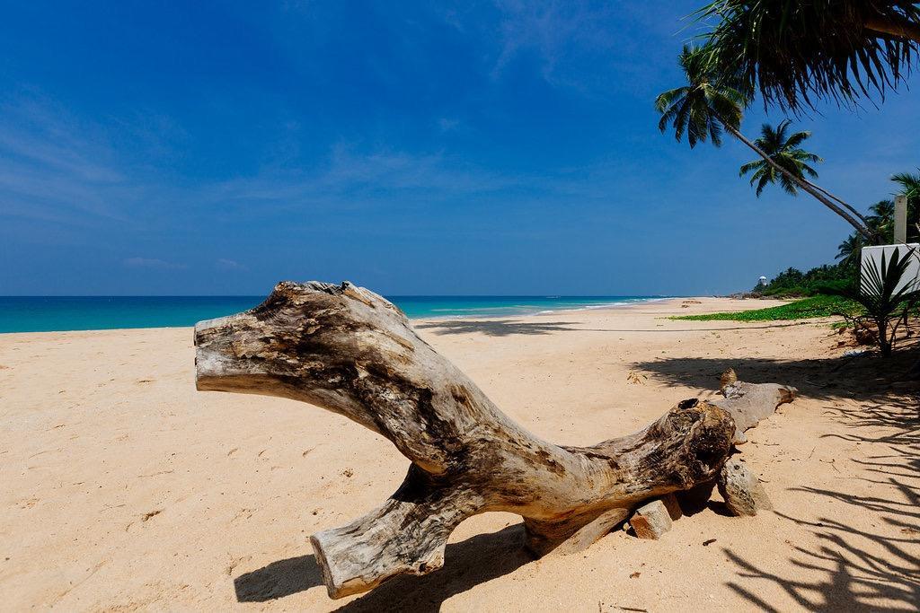 Greenparrot-Villa Ambalangoda  Dış mekan fotoğraf
