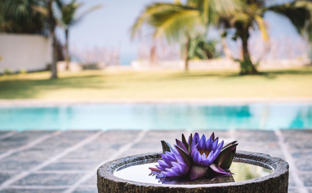 Greenparrot-Villa Ambalangoda  Dış mekan fotoğraf